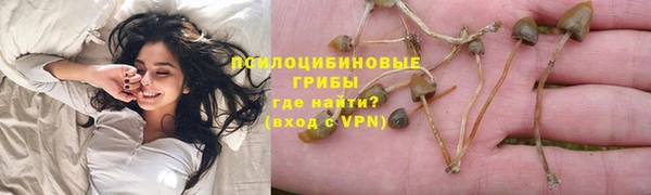 амф Арсеньев
