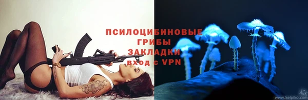 амф Арсеньев
