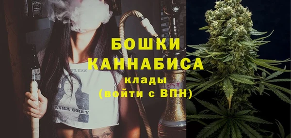 амф Арсеньев